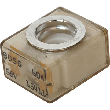 184791164.jpg