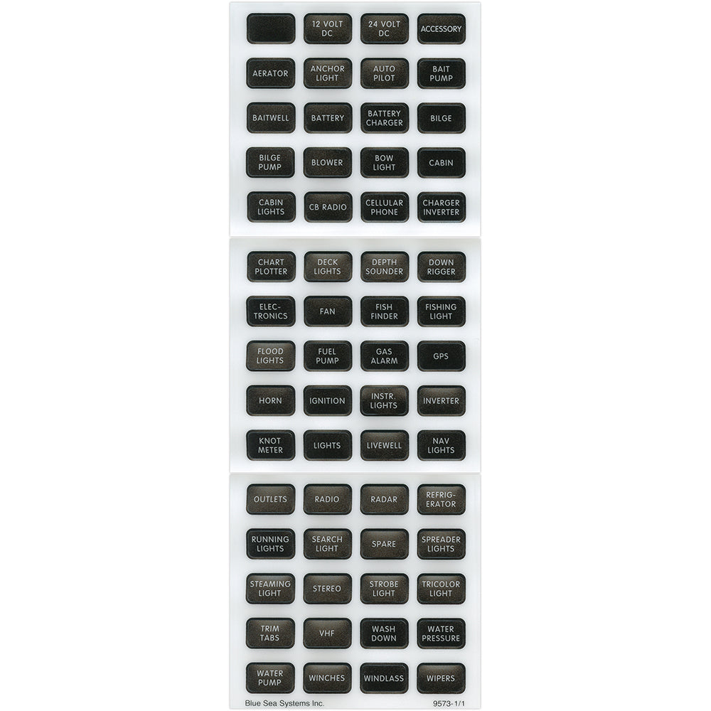 184795308.jpg
