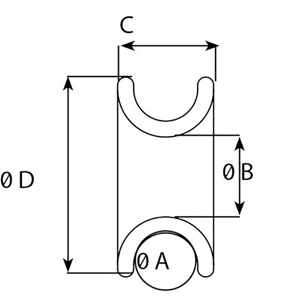 243617374.jpg