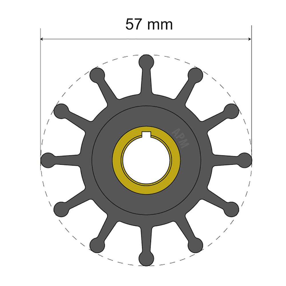 184808646.jpg