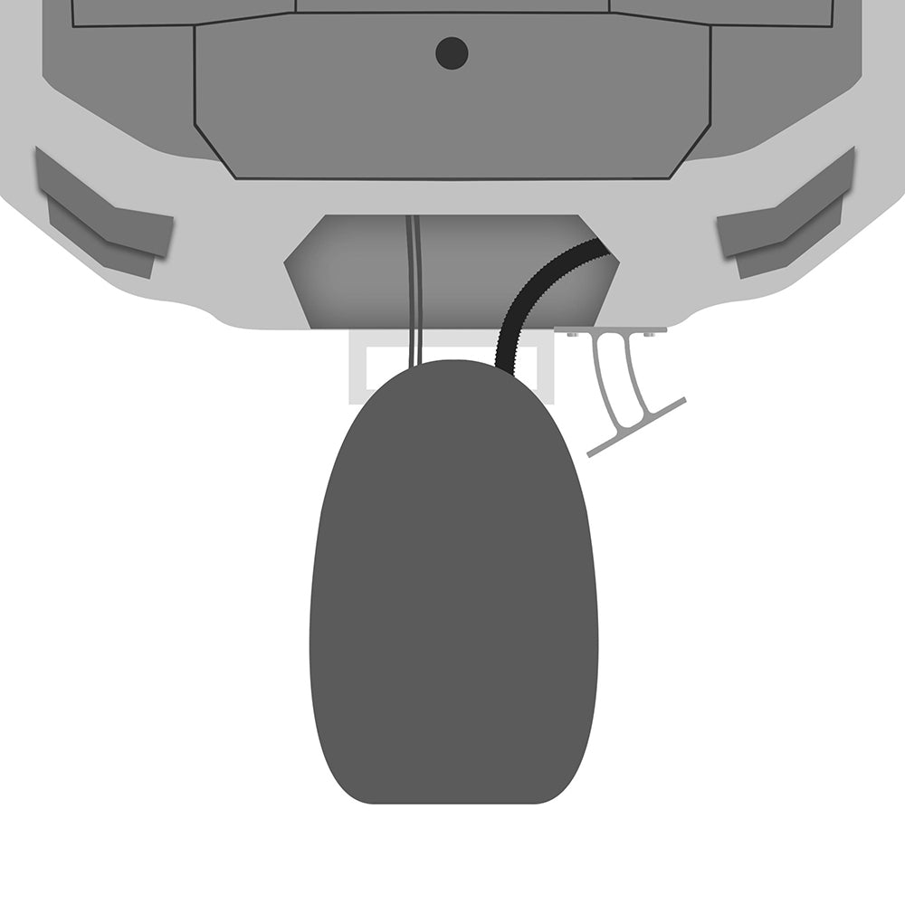 243597536.jpg