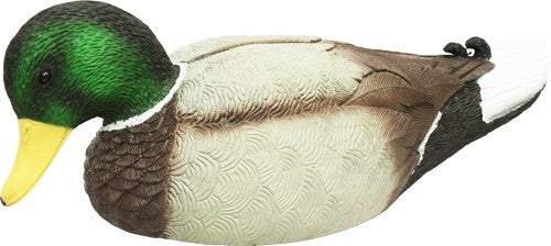 186478521.jpg