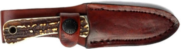 186474069.jpg