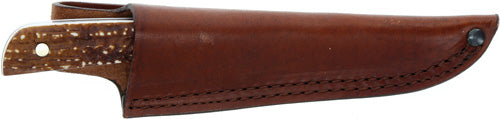 186475670.jpg